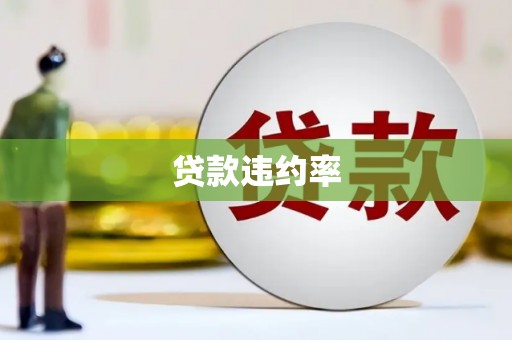 白碱滩贷款违约率