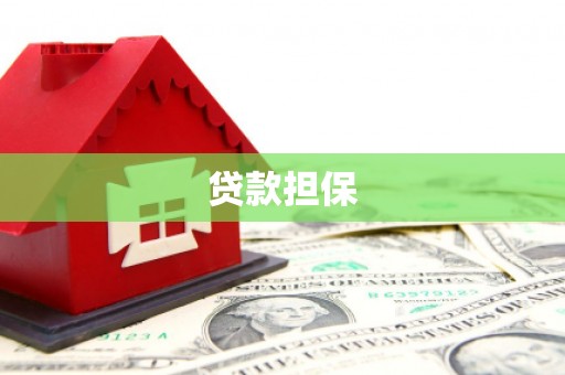 白碱滩贷款担保