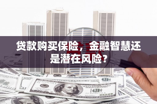 白碱滩贷款购买保险，金融智慧还是潜在风险？