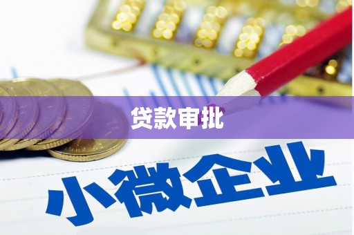 白碱滩贷款审批