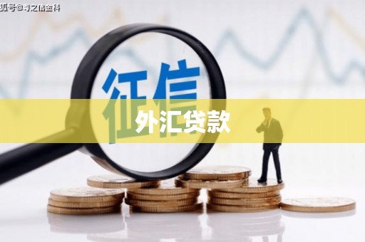 白碱滩外汇贷款