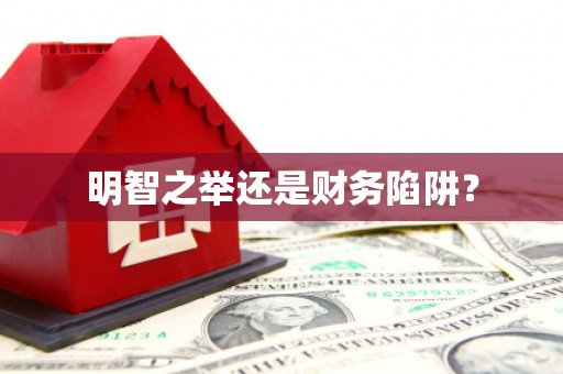 白碱滩明智之举还是财务陷阱？