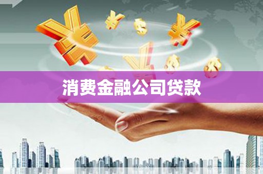 白碱滩消费金融公司贷款