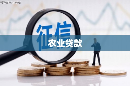 白碱滩农业贷款