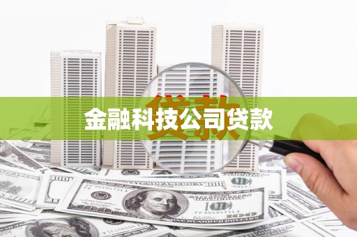 白碱滩金融科技公司贷款