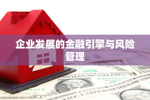 白碱滩企业发展的金融引擎与风险管理