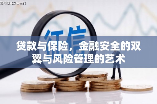 白碱滩贷款与保险，金融安全的双翼与风险管理的艺术