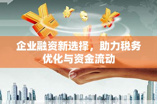 白碱滩企业融资新选择，助力税务优化与资金流动