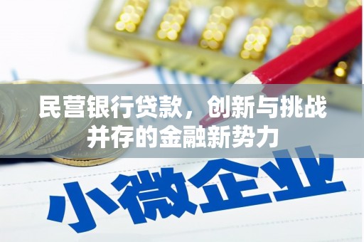 白碱滩民营银行贷款，创新与挑战并存的金融新势力