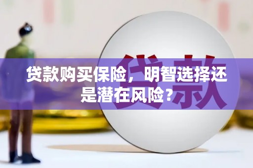 白碱滩贷款购买保险，明智选择还是潜在风险？