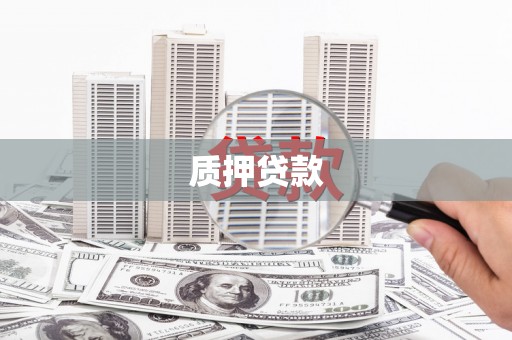 白碱滩质押贷款
