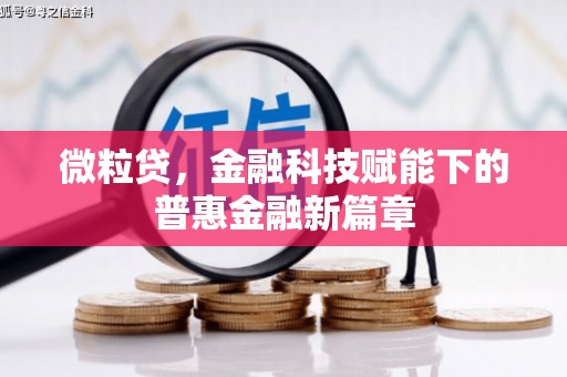 白碱滩微粒贷，金融科技赋能下的普惠金融新篇章