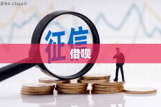 白碱滩借呗