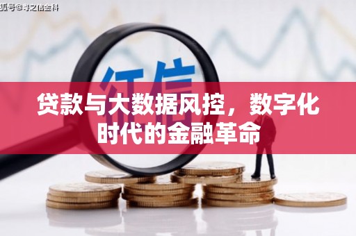 白碱滩贷款与大数据风控，数字化时代的金融革命