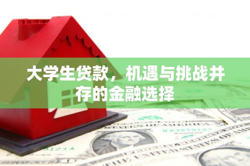 白碱滩大学生贷款，机遇与挑战并存的金融选择