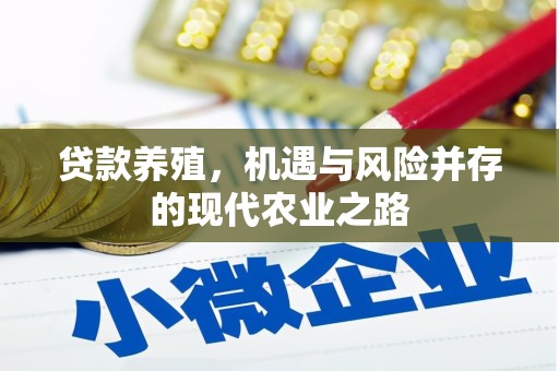 白碱滩贷款养殖，机遇与风险并存的现代农业之路