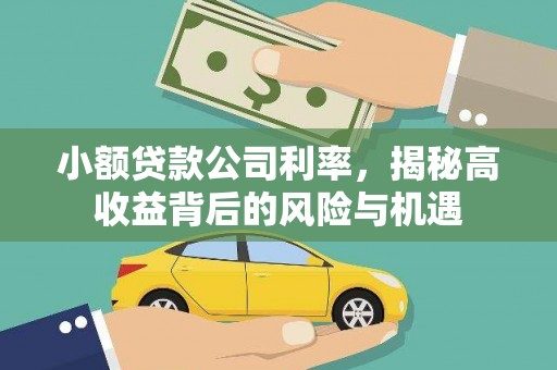 白碱滩小额贷款公司利率，揭秘高收益背后的风险与机遇