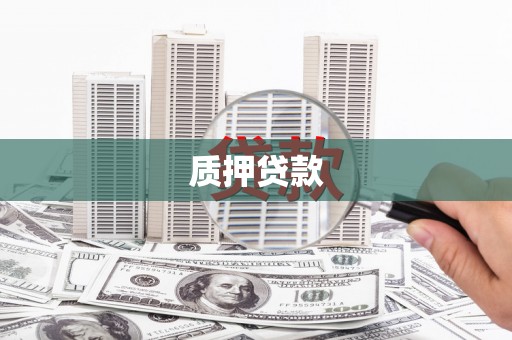 白碱滩质押贷款