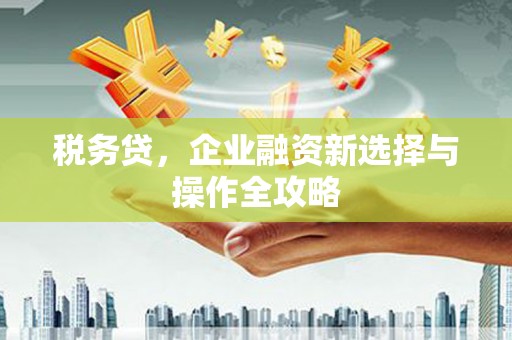 白碱滩税务贷，企业融资新选择与操作全攻略