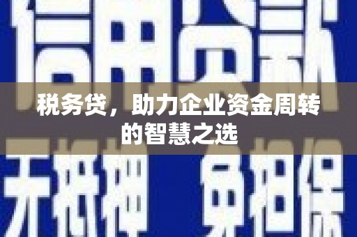 白碱滩税务贷，助力企业资金周转的智慧之选