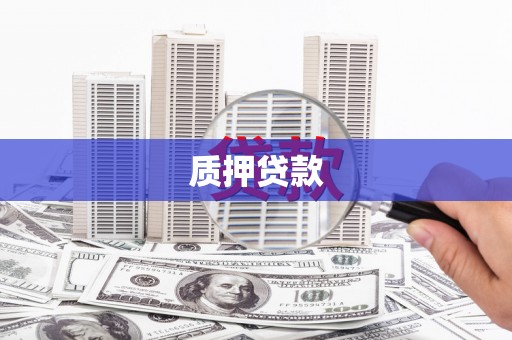 白碱滩质押贷款