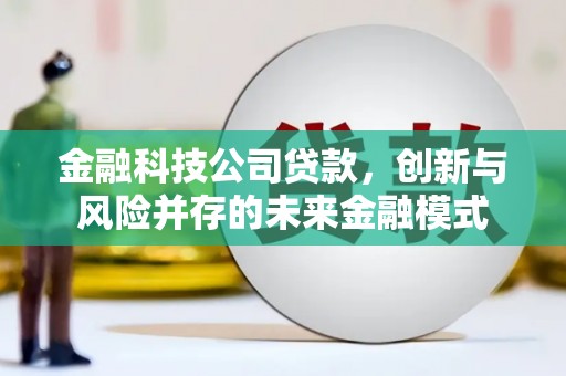 白碱滩金融科技公司贷款，创新与风险并存的未来金融模式