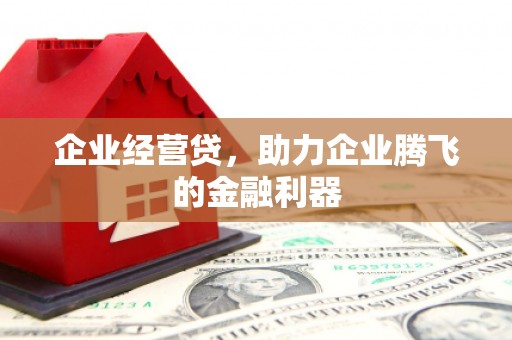 白碱滩企业经营贷，助力企业腾飞的金融利器
