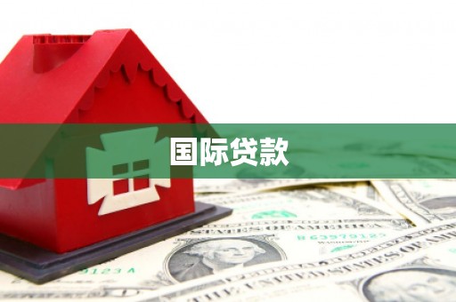 白碱滩国际贷款