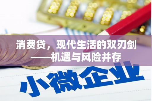 白碱滩消费贷，现代生活的双刃剑——机遇与风险并存