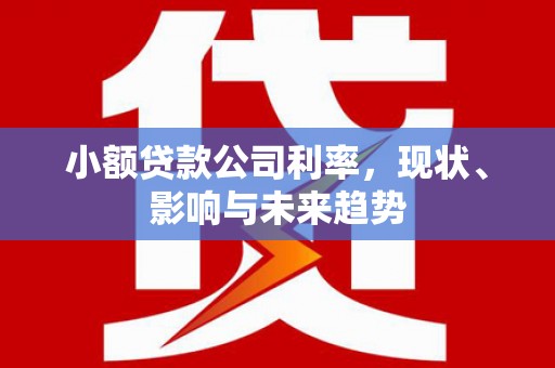 白碱滩小额贷款公司利率，现状、影响与未来趋势