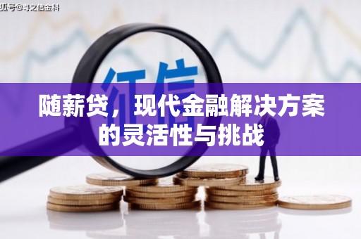 白碱滩随薪贷，现代金融解决方案的灵活性与挑战