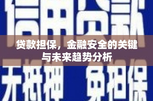白碱滩贷款担保，金融安全的关键与未来趋势分析