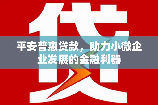 白碱滩平安普惠贷款，助力小微企业发展的金融利器