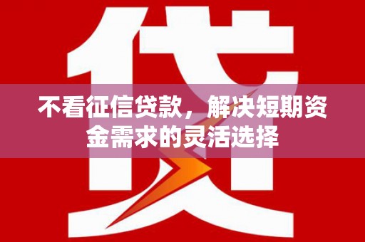 白碱滩不看征信贷款，解决短期资金需求的灵活选择