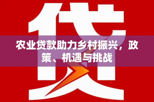 白碱滩农业贷款助力乡村振兴，政策、机遇与挑战