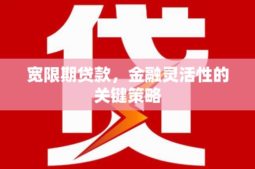 白碱滩宽限期贷款，金融灵活性的关键策略