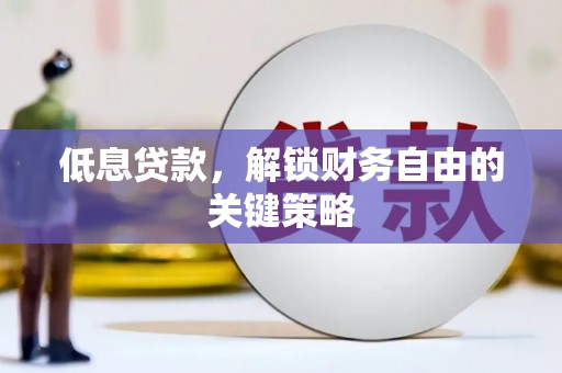 白碱滩低息贷款，解锁财务自由的关键策略