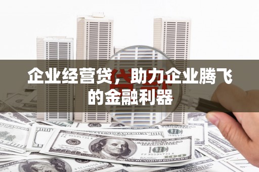 白碱滩企业经营贷，助力企业腾飞的金融利器