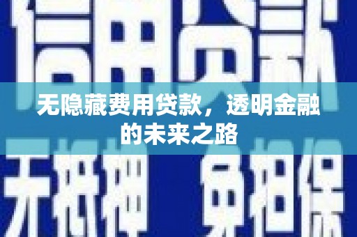 白碱滩无隐藏费用贷款，透明金融的未来之路