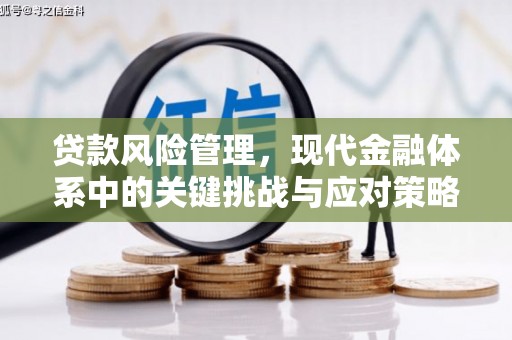 白碱滩贷款风险管理，现代金融体系中的关键挑战与应对策略