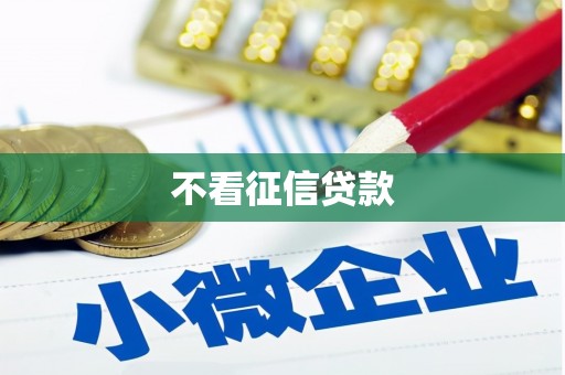 白碱滩不看征信贷款