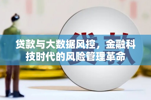 白碱滩贷款与大数据风控，金融科技时代的风险管理革命