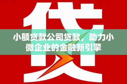 白碱滩小额贷款公司贷款，助力小微企业的金融新引擎