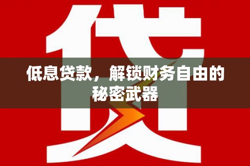 白碱滩低息贷款，解锁财务自由的秘密武器