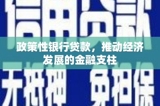 白碱滩政策性银行贷款，推动经济发展的金融支柱