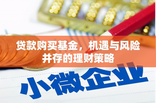 白碱滩贷款购买基金，机遇与风险并存的理财策略