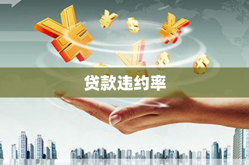 白碱滩贷款违约率