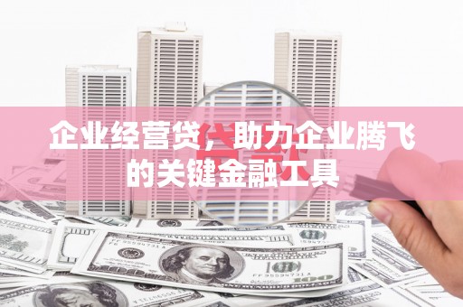 白碱滩企业经营贷，助力企业腾飞的关键金融工具