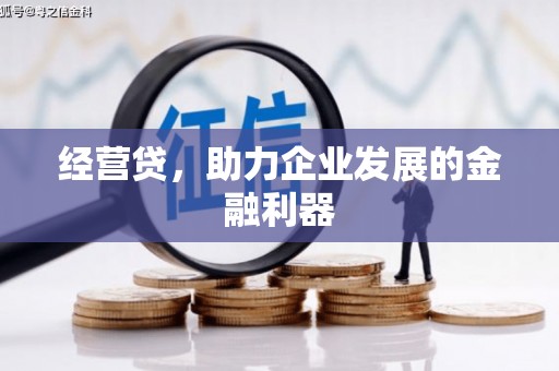 白碱滩经营贷，助力企业发展的金融利器