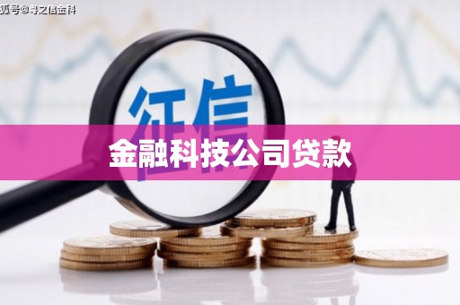 白碱滩金融科技公司贷款